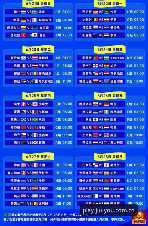 世界杯观赛必备知识：签证难题如何影响你的观赛计划与应对策略